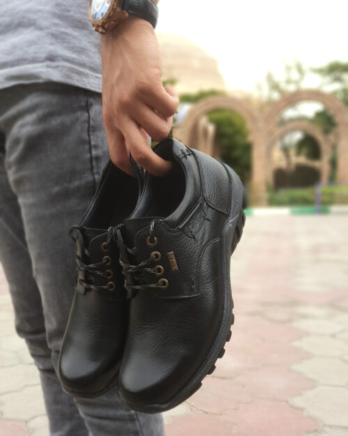کفش فرزین